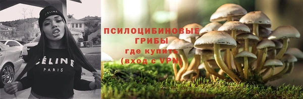 дмт Бронницы
