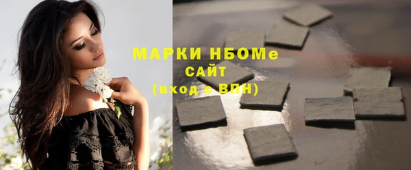 дживик Бородино
