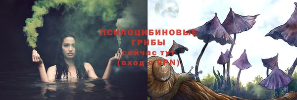 трава Богданович
