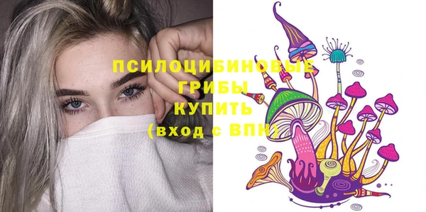 дмт Бронницы