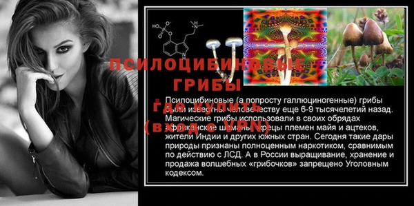 метадон Богородицк
