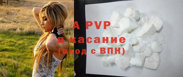ПСИЛОЦИБИНОВЫЕ ГРИБЫ Тутаев